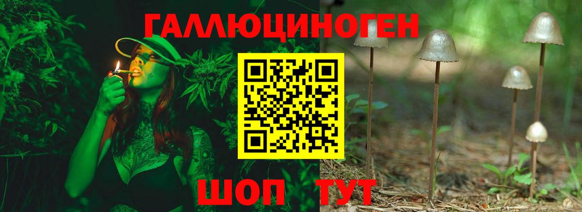 Псилоцибиновые грибы GOLDEN TEACHER  Вход с VPN  Галлюциногенные грибы MAGIC MUSHROOMS  Тельмана 
